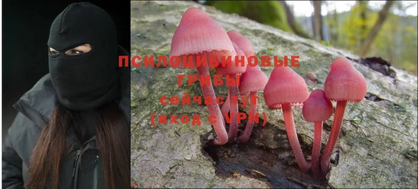 марки nbome Беломорск
